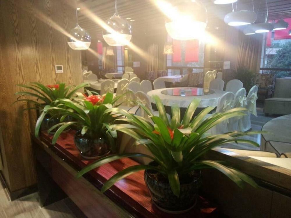CTU Chengdu Hello Hotel מראה חיצוני תמונה